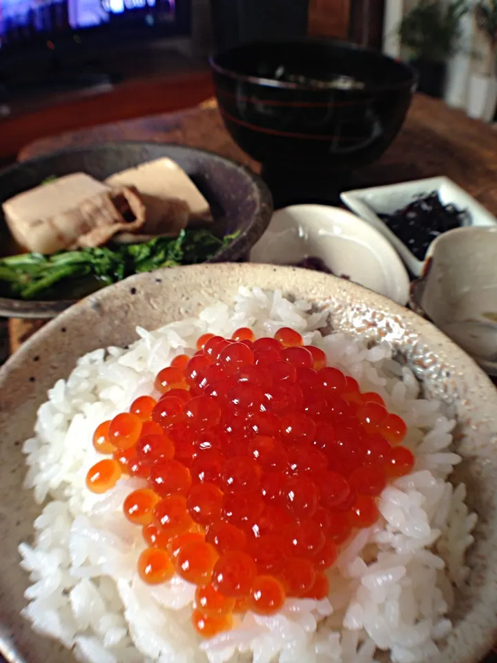 昨夜仕込んだイクラの醤油漬けで朝御飯^_^出汁と醤油のバランスは良し、と。|shinyaさん