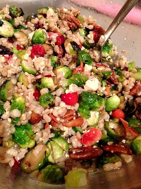 Roasted Brussels sprouts with cranberries and barley, with maple syrup, pecans and tofu mash|georgianaさん