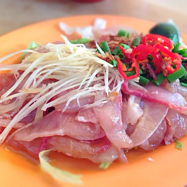 Raw fish salad|willzさん