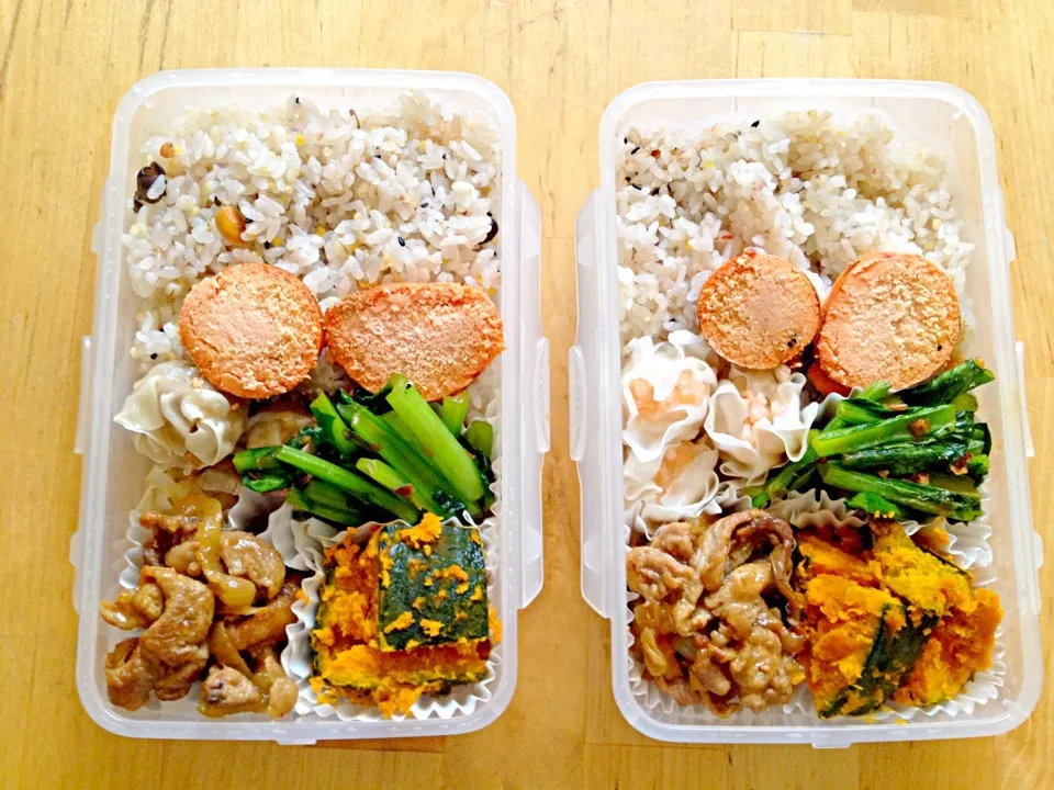 Snapdishの料理写真:本日のお弁当2013.10.17|門乃ケルコさん