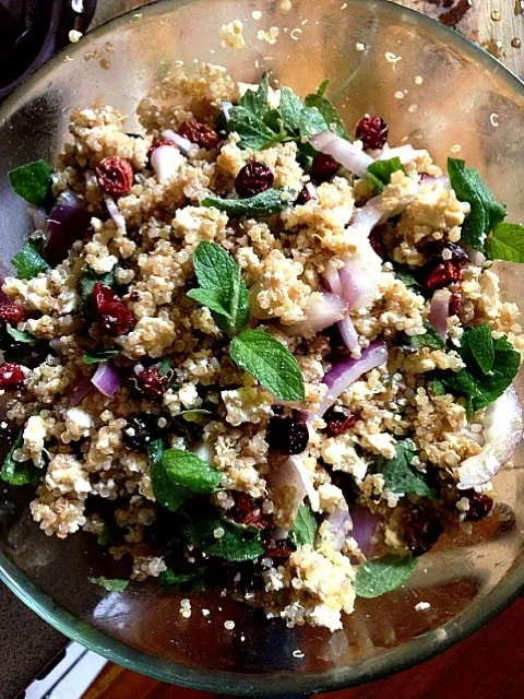 Snapdishの料理写真:Organic mint and cranberry quinoa salad, with res onion and tofu mash|georgianaさん