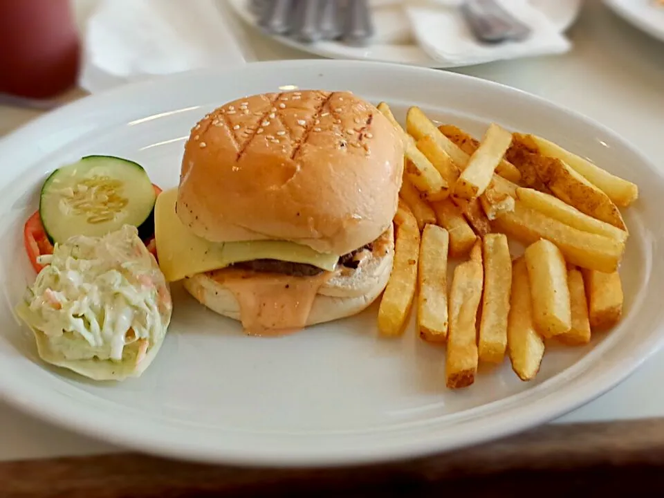 cheeseburger with coleslaw and fries|enihsさん