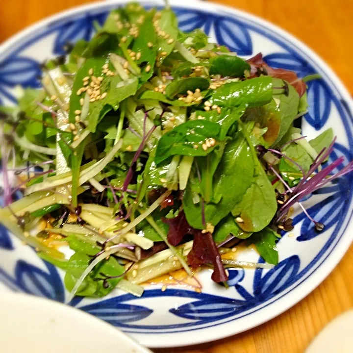 ベビーリーフとキュウリのサラダ|門乃ケルコさん