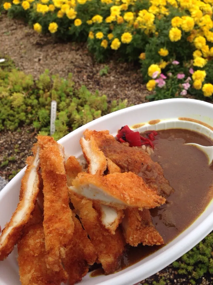 ファジフーズ、チキンカツカレー|濱山賢二さん