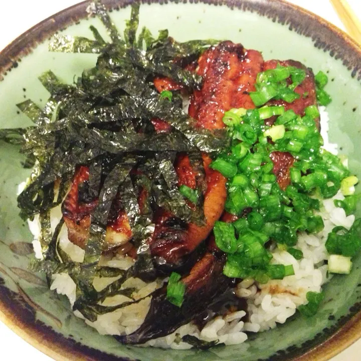 Unagi over Rice|Araleielさん