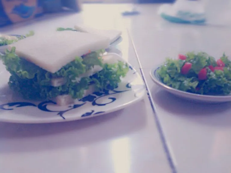 Snapdishの料理写真:sandwich and sallad|anggunさん