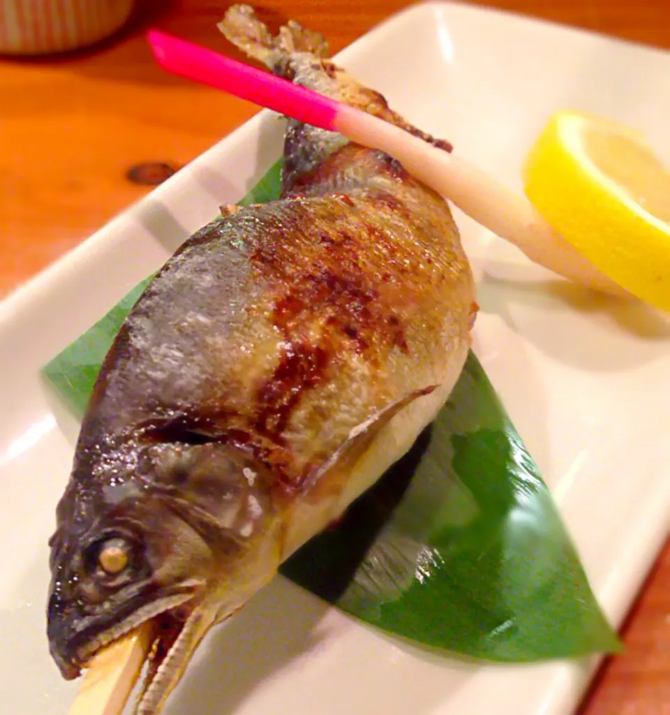 甘味鮎の塩焼き|ドヒ キヨシさん