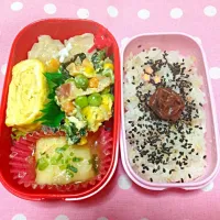 ほうれん草と小松菜の卵とじ弁当♡|あきこさん