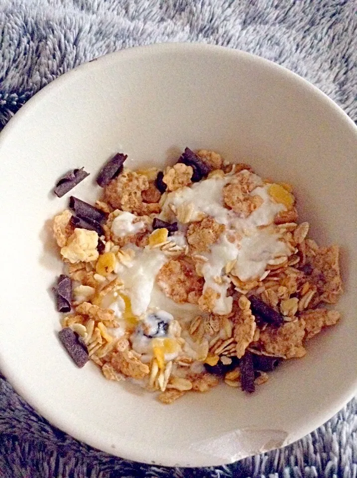 Muesli and yogourt for breakfast.|Joannaさん