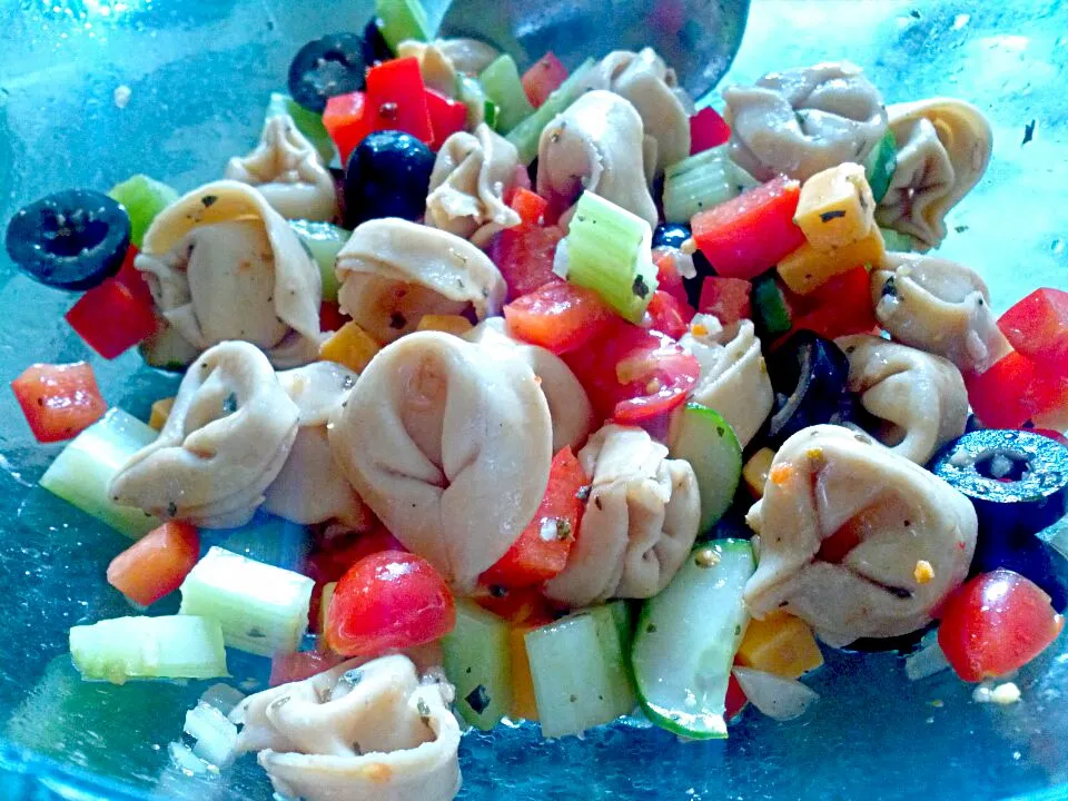 Snapdishの料理写真:tortellini pasta salad|Rachel Andersonさん