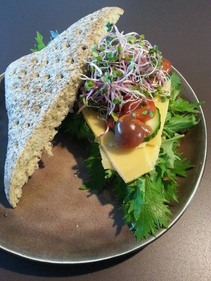 Whole wheat focaccia with mizuna, 2 year ripened cheese, tomato, cucumber and radish sprouts (and a splash of tabasco)|Frank&Jolanda - Eteninbeeldさん