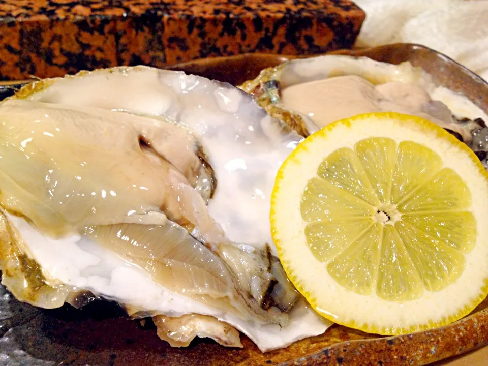 Oysters|do dyuさん