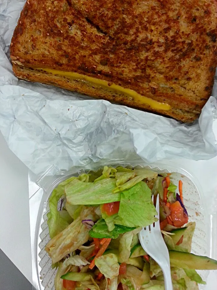 house salad qith balsamic vinegar dressing and a spoke grilled cheese sandwich|dennypatronさん