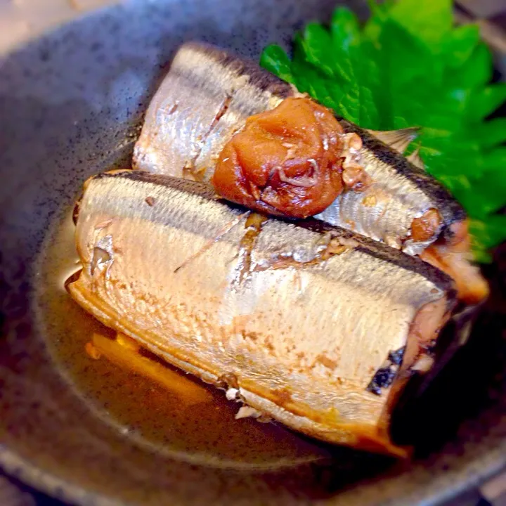 骨まで食べれる！秋刀魚の梅煮|こしさん