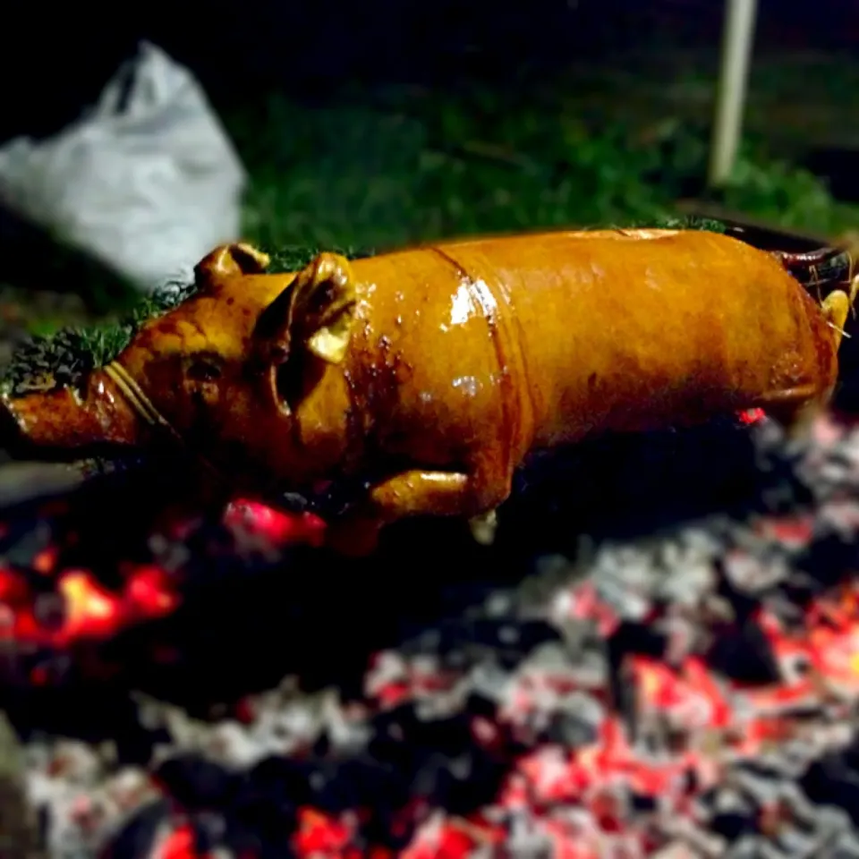 Lechon|willzさん