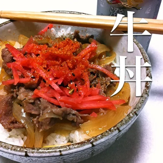 131027-牛丼 ¥210 #夕食 #自炊 #やってみた|dune725さん