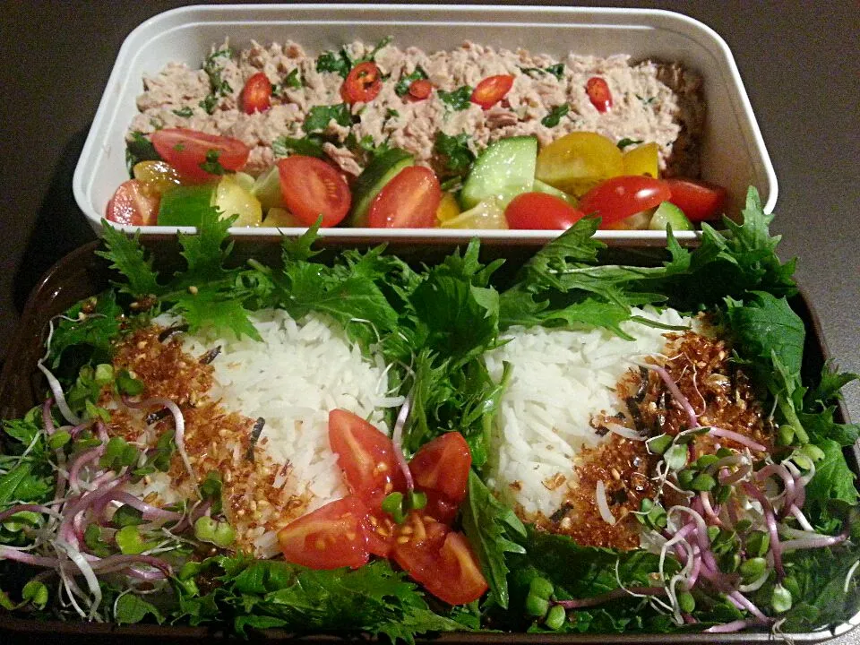 Bento#18
Rice, mizuna,  tunasalad, tomatoes and cucumber|Frank&Jolanda - Eteninbeeldさん