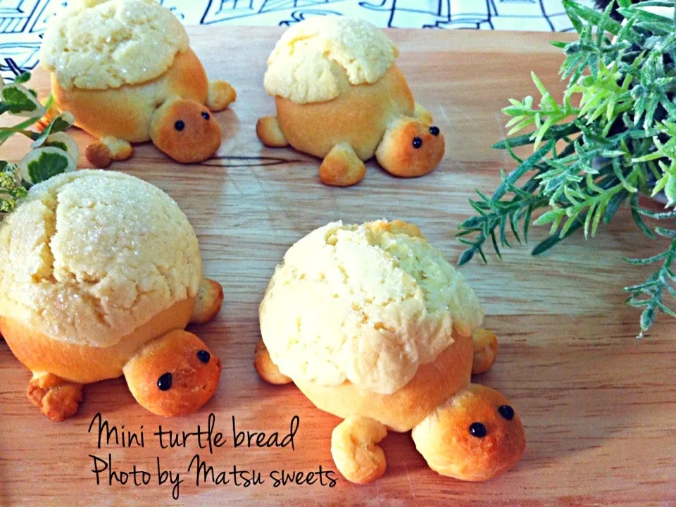 Snapdishの料理写真:Mini turtle bread|Matsu sweetsさん