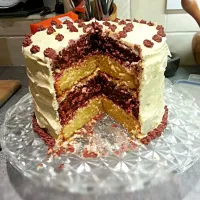 chocolate and vanilla layer cake|harriet phillipsさん