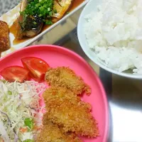 カキフライと鯖の味噌煮|はるなさん