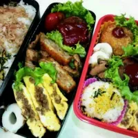 Snapdishの料理写真:ハンバーグ弁当☆