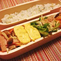 今日のお弁当|cococoさん