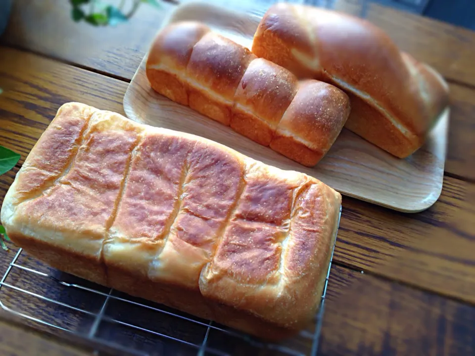 🍞角食パン＆ミニ食パン🍞|junjunさん