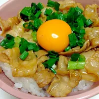 Snapdishの料理写真:豚丼|夢子さん