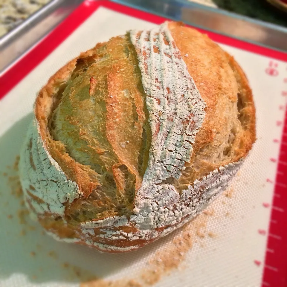 Whole wheat bread (15%)|Nanaさん