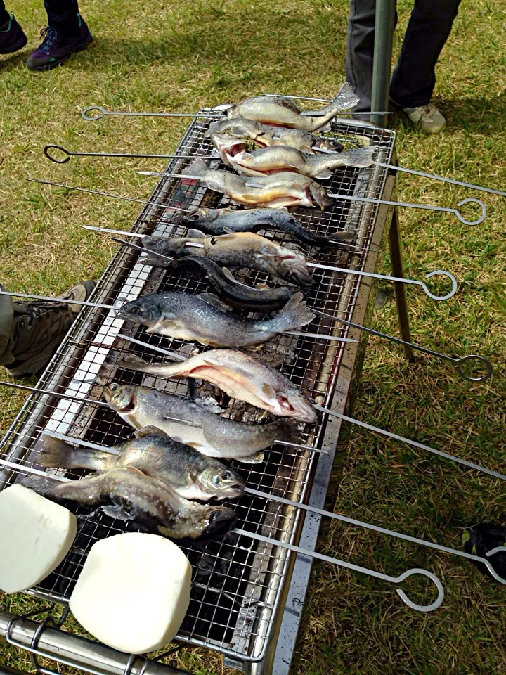 信州産  いわな塩焼き|さとみさん