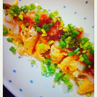 Snapdishの料理写真:しらす入りだし巻きたまご！💃だいこんおろしとネギと醤油をかけておわり★🌼|みきさん