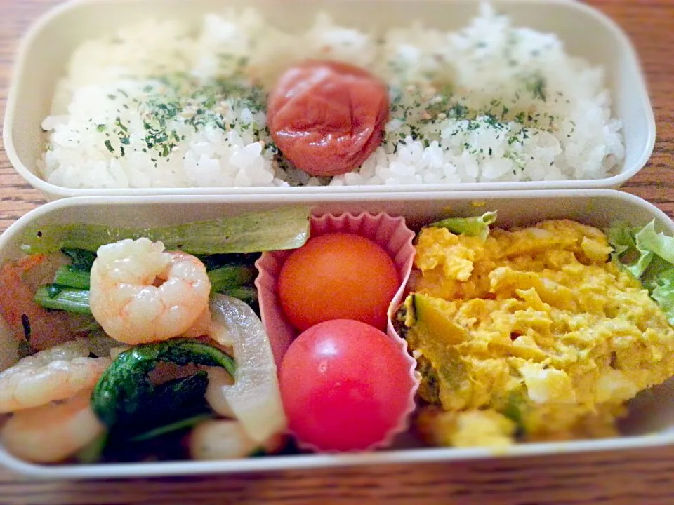 今日のお弁当|Tomomi Nojoさん