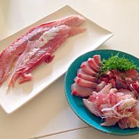 平政のお造り