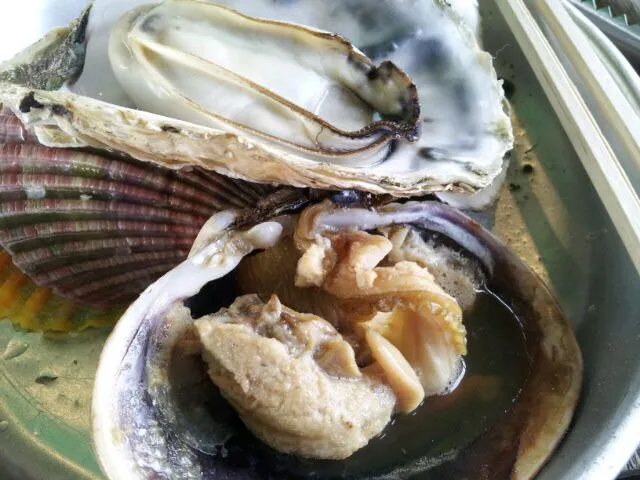 有明海で牡蠣焼きと大ハマグリを食べたよ。
海の幸だらけ‥…海岸線の牡蠣焼き小屋で。
美味しかった。|美智子ママさん