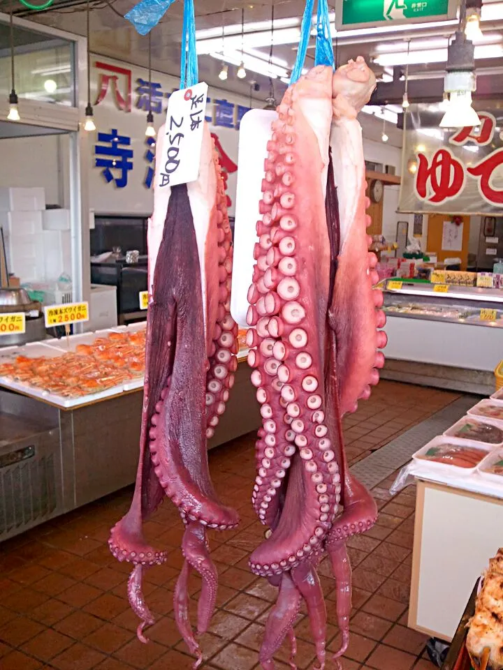 Snapdishの料理写真:giant octopus|josephさん