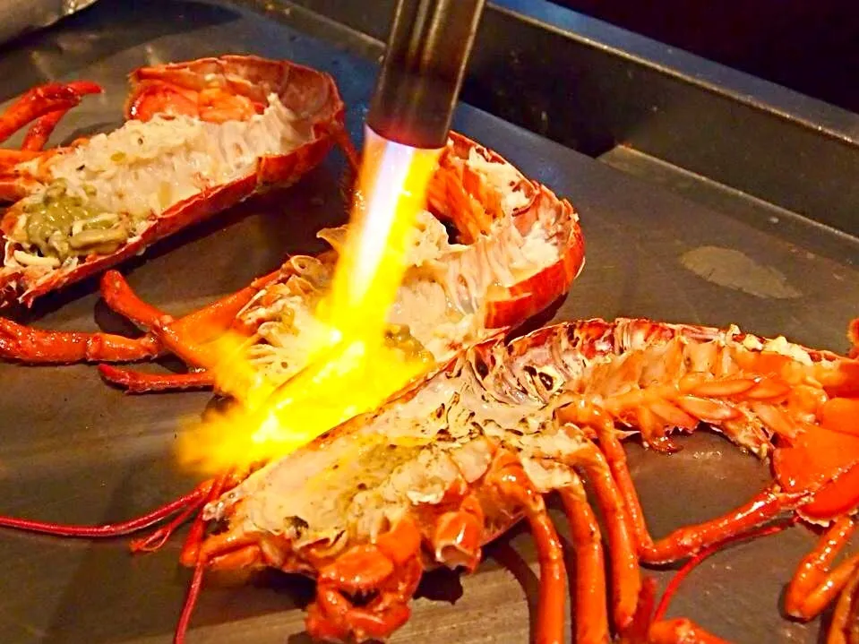 Teppanyaki lobster|sgさん