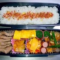 旦那お弁当|ち。さん