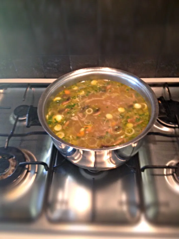 Chicken and vegetable soup|woodfiredさん