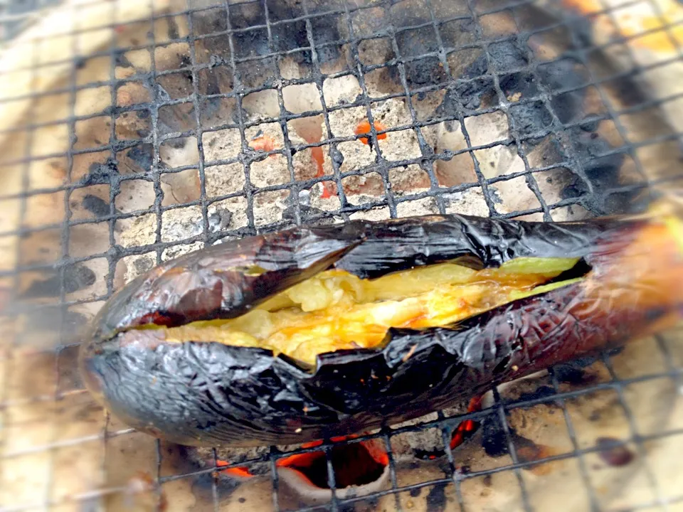 焼きなすの醤油かけ|akiyo22さん