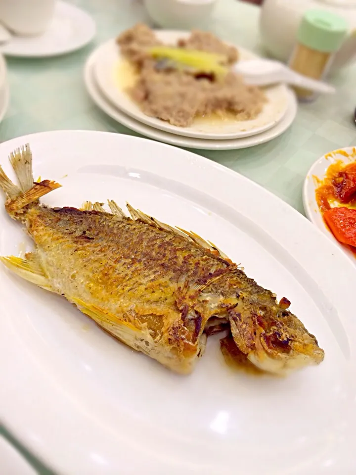 Wok fried snapper 煎鲷魚|Mak Toniさん