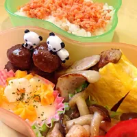 本日のお弁当。|田中美穂さん