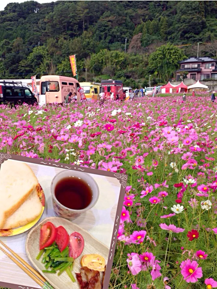 Snapdishの料理写真:💛11月5日朝ごはん💛|こころさん