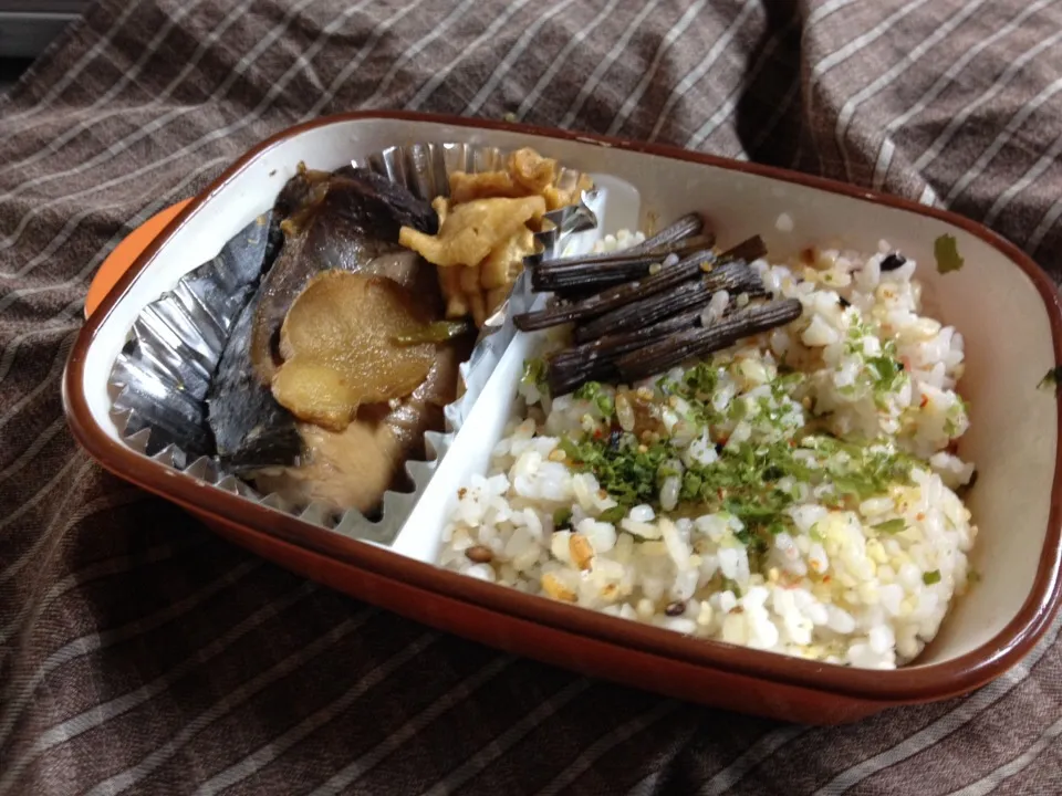 単身赴任のお弁当  ぶりの煮付け弁当|ぽんたさん