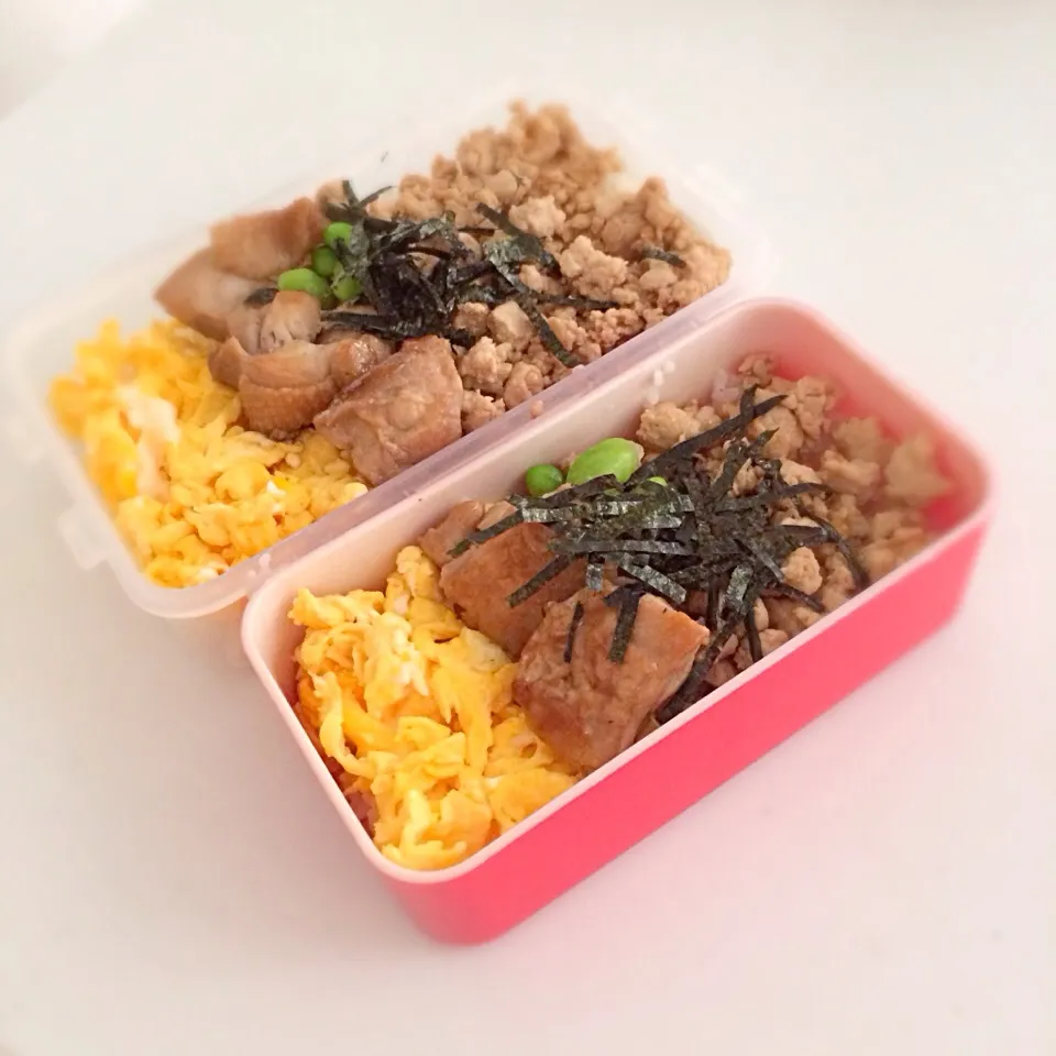 Snapdishの料理写真:鶏そぼろ弁当|Sonoko Iwaseさん