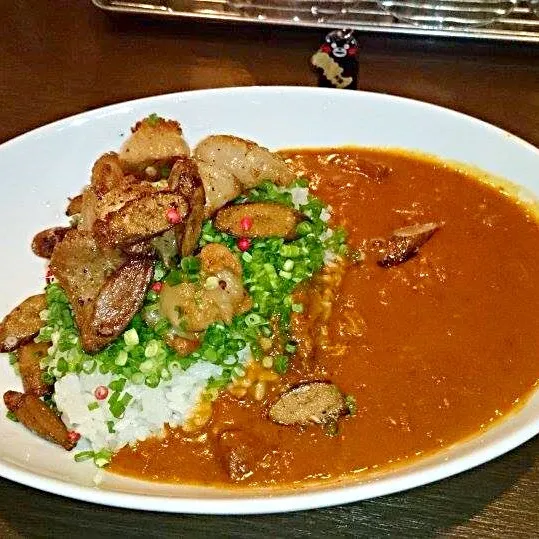 Snapdishの料理写真:サムズのジューシーネギホルモンカレー 2013#299(629)|大阪カレー部長さん