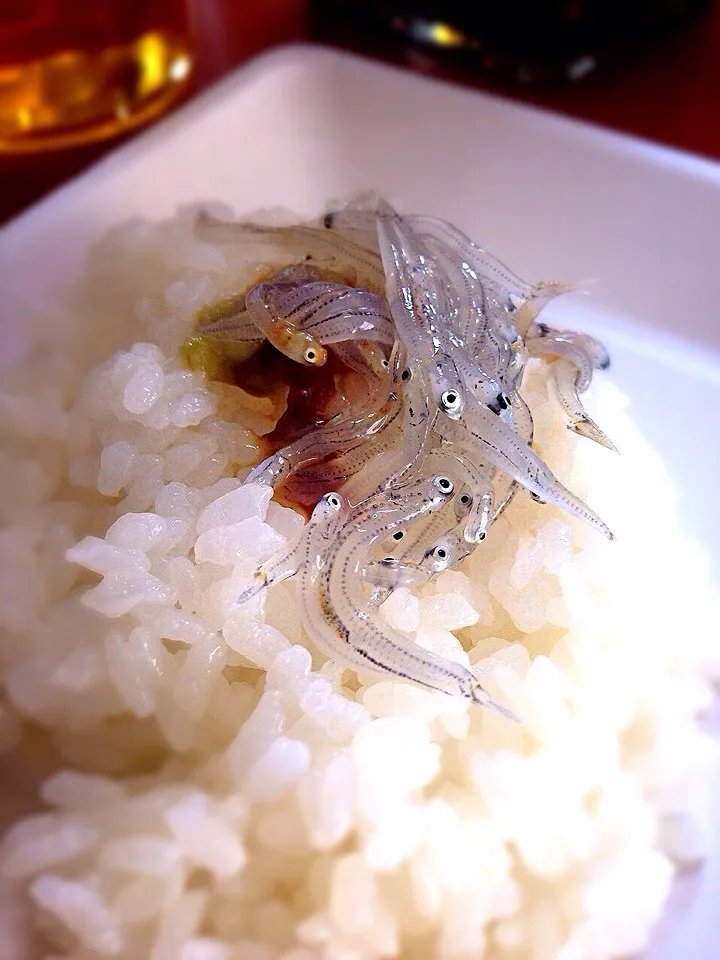 朝採れシラスのシカプー醤油麹ご飯😍|トッシ~さん