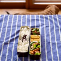 Snapdishの料理写真:鮭弁当|15lunchさん