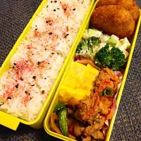 🌟旦那ちゃんのお弁当🌟|ゆうさん