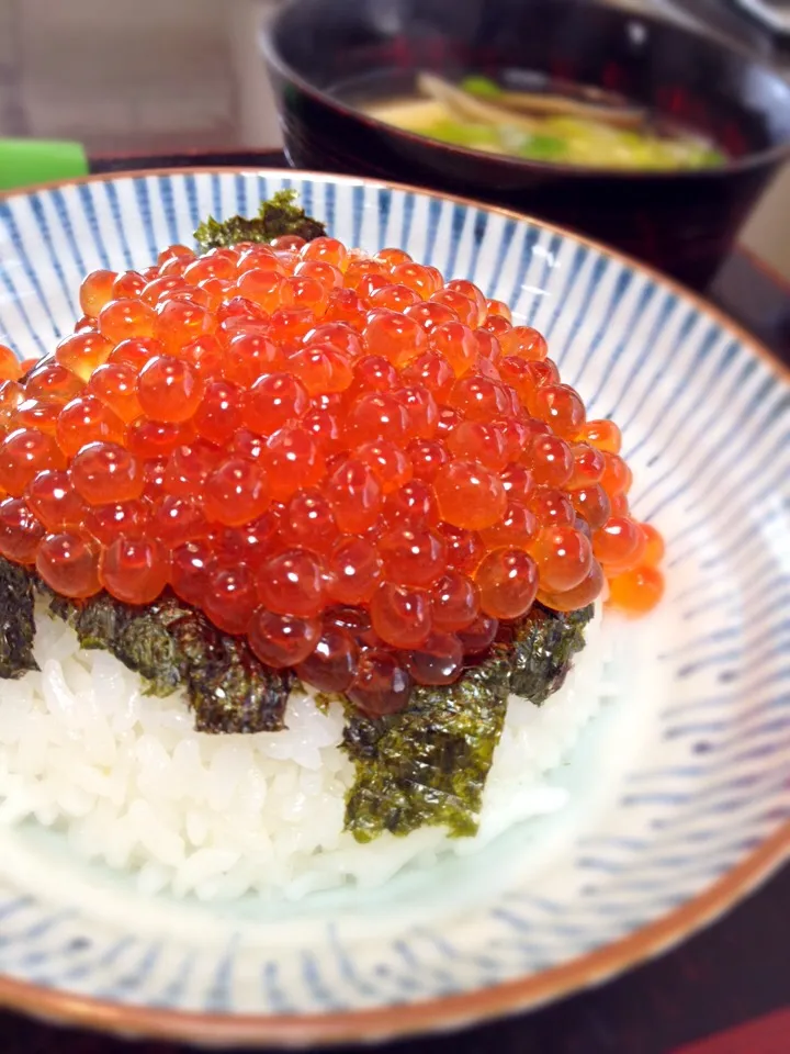 【ウチごはん】イクラ丼|renさん