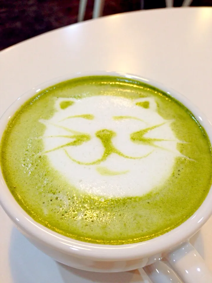 Matcha Latte|Aomさん